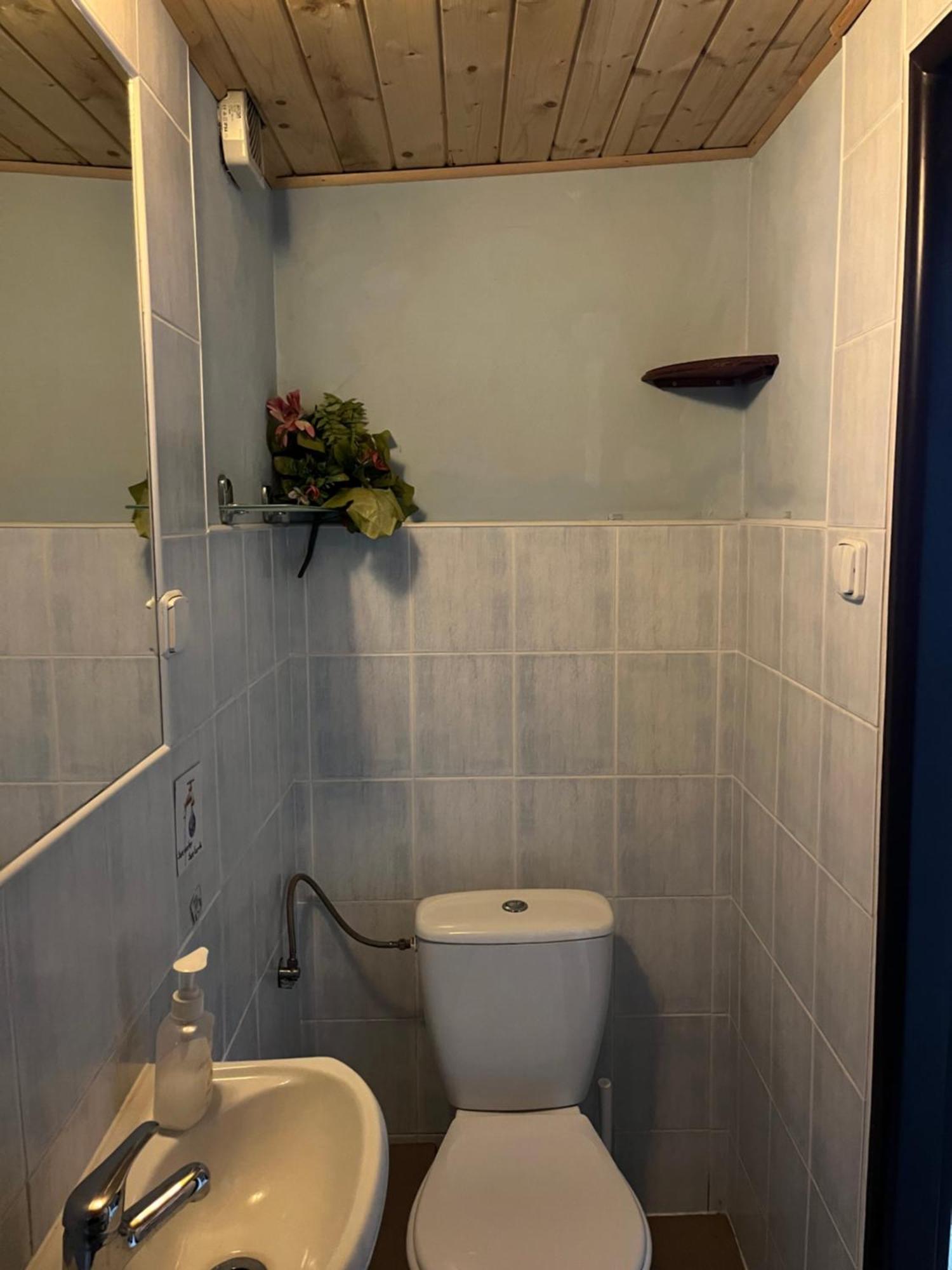 Mikulas Guest House Liptovský Mikuláš エクステリア 写真